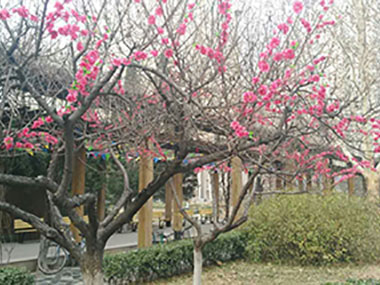 1483413833710755.jpg 围-2.jpg
