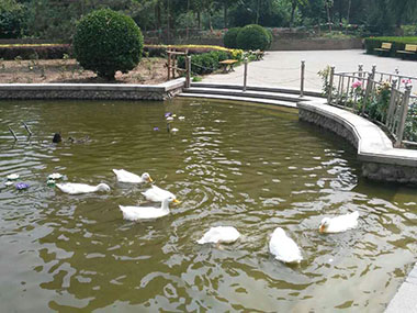 未标题-2.jpg