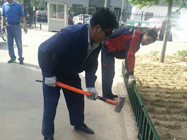 1493778161317273.jpg 未标题-4.jpg